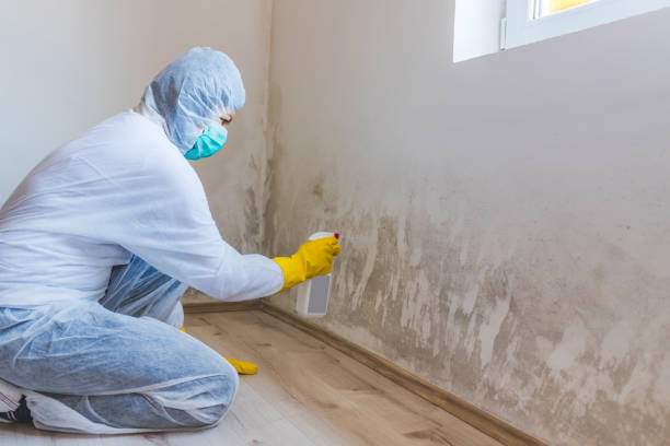 Best Commercial Mold Inspection  in Marlton, NJ