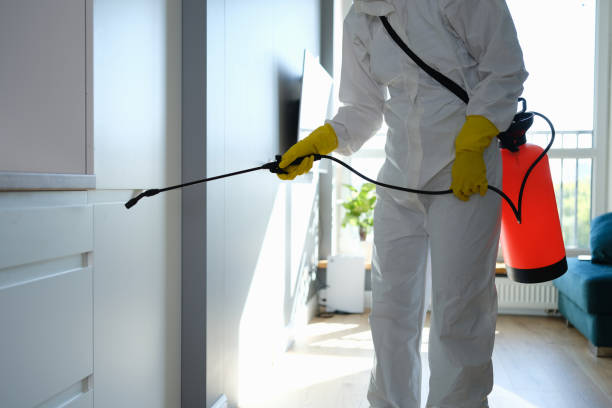 Mold Odor Removal Services in Marlton, NJ