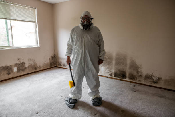 Mold Documentation for Insurance Claims in Marlton, NJ